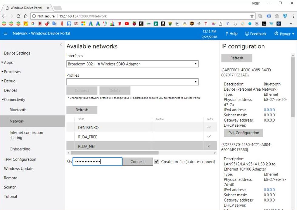 Windows Device Portal Network connectiona page